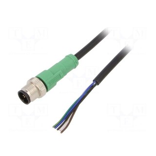 Connection lead | M12 | PIN: 5 | straight | 1.5m | plug | 60VAC | 4A | PVC