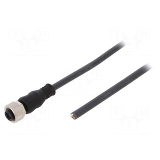 Connection lead | M12 | PIN: 5 | straight | 10m | plug | 125VAC | 4A | female