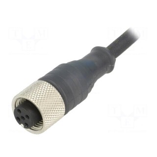 Connection lead | M12 | PIN: 5 | straight | 10m | plug | 24VAC | 4A | IP67