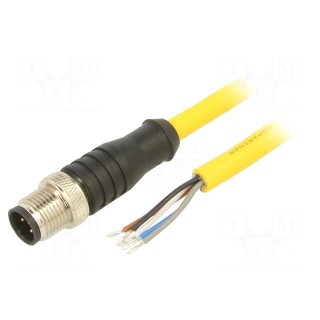 Connection lead | M12 | PIN: 5 | straight | 10m | plug | 250VAC | 4A | PVC