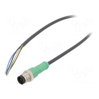 Connection lead | M12 | PIN: 5 | straight | 10m | plug | 60VAC | 4A | PUR