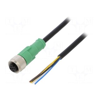 Connection lead | M12 | PIN: 5 | straight | 10m | plug | 60VAC | 4A | PVC