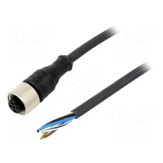 Connection lead | M12 | PIN: 5 | straight | 25m | plug | 24VAC | 4A | IP67