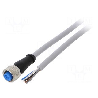 Connection lead | M12 | PIN: 5 | straight | 2m | plug | 125VAC | 4A | IP67