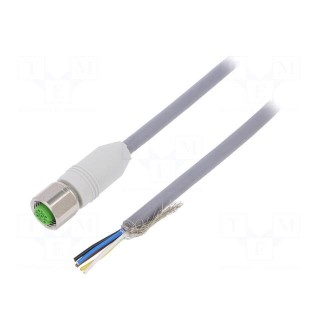 Connection lead | M12 | PIN: 5 | straight | 3m | plug | 60VAC | -25÷80°C