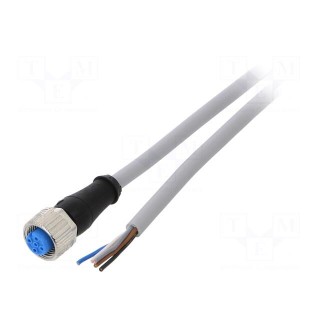 Connection lead | M12 | PIN: 5 | straight | 5m | plug | 125VAC | 4A | IP67