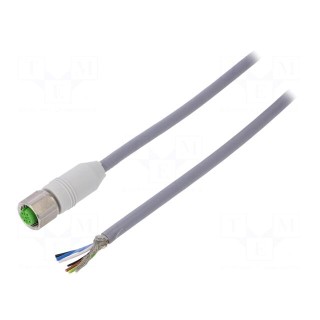 Connection lead | M12 | PIN: 5 | straight | 5m | plug | 60VAC | -25÷80°C