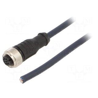 Connection lead | M12 | PIN: 5 | straight | 5m | plug | 60VAC | 4A | IP69K
