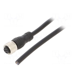 Connection lead | M12 | PIN: 5 | straight | 6m | plug | max.80°C | PVC