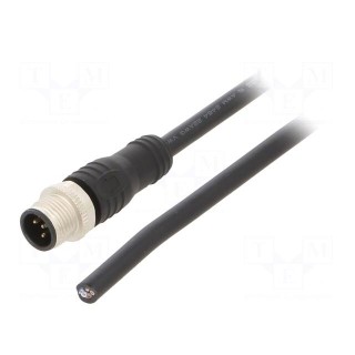 Connection lead | M12 | PIN: 5 | straight | 6m | plug | max.80°C | PVC | male