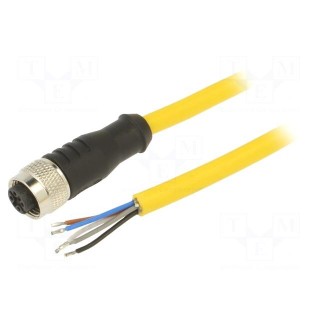 Connection lead | M12 | PIN: 5 | straight | plug | 250VAC | 4A | PVC | IP68
