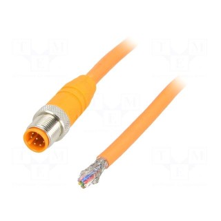 Connection lead | M12 | PIN: 8 | straight | 10m | plug | 30VAC | 2A | IP67