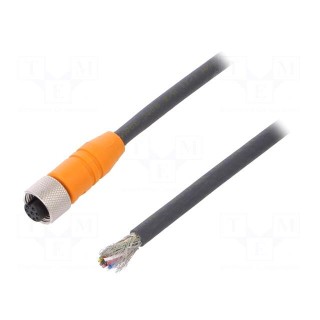 Connection lead | M12 | PIN: 8 | straight | 10m | plug | 30VAC | 4A | IP67