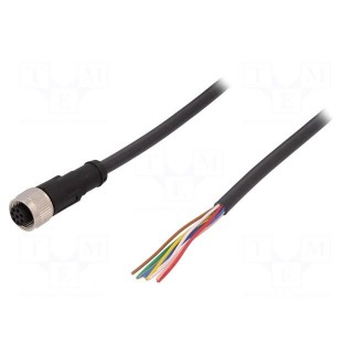 Connection lead | M12 | PIN: 8 | straight | 10m | plug | 30VAC | 4A | PUR