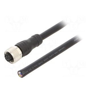 Connection lead | M12 | PIN: 8 | straight | 10m | plug | max.80°C | PVC