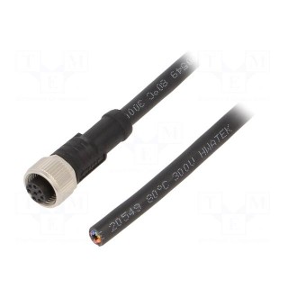 Connection lead | M12 | PIN: 8 | straight | 2m | plug | 30VAC | 2A | -20÷80°C