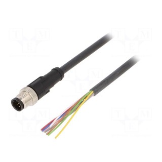Connection lead | M12 | PIN: 8 | straight | 2m | plug | 30VAC | 4A | -25÷80°C