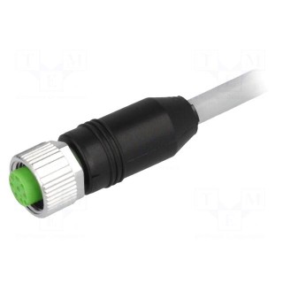 Connection lead | M12 | PIN: 8 | straight | 3m | plug | 30VAC | 2A | -20÷85°C