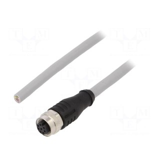 Connection lead | M12 | PIN: 8 | straight | 5m | plug | -30÷80°C | IP67