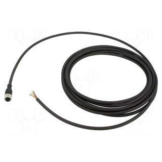Connection lead | M12 | PIN: 8 | straight | 5m | plug | -5÷80°C | XZCP