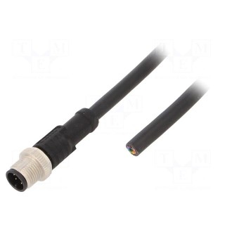 Connection lead | M12 | PIN: 8 | straight | 5m | plug | 30VAC | 2A | -20÷80°C