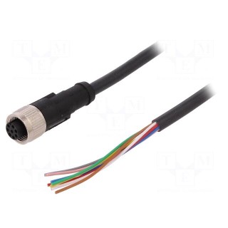 Connection lead | M12 | PIN: 8 | straight | 5m | plug | 30VAC | 4A | -25÷80°C