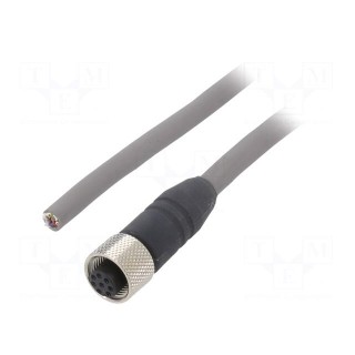 Connection lead | M12 | PIN: 8 | straight | 5m | plug | 36VAC | 2.2A | IP67