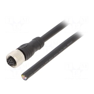 Connection lead | M12 | PIN: 8 | straight | 6m | plug | max.80°C | PVC