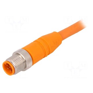 Connection lead | M12 | straight | 2m | plug | 250VAC | 4A | -25÷80°C | PVC