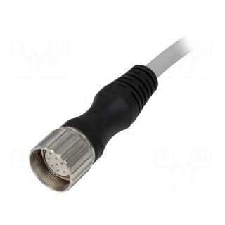 Connection lead | M23 | PIN: 12 | straight | 5m | plug | 125VAC | 7.5A | IP67
