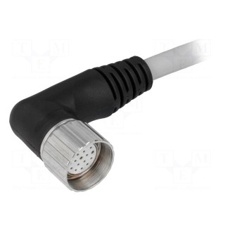 Connection lead | M23 | PIN: 19 | angled | 5m | plug | 125VAC | 7.5A | IP67