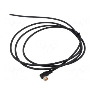 Connection lead | M8 | PIN: 3 | angled | 2m | plug | 4A | -25÷80°C | PUR | IP67