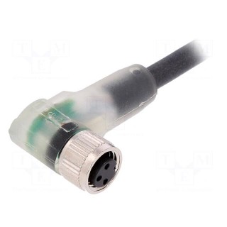 Connection lead | M8 | PIN: 3 | angled | 2m | plug | 60VAC | 4A | -25÷80°C