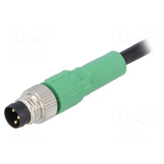 Connection lead | M8 | PIN: 3 | straight | 1.5m | plug | 250VAC | 4A | PVC