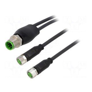 Connection lead | M8 | PIN: 3 | straight | 1.5m | plug | PUR,PVC