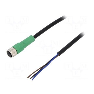 Connection lead | M8 | PIN: 3 | straight | 10m | plug | 250VAC | 4A | 250VDC