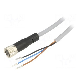 Connection lead | M8 | PIN: 3 | straight | 10m | plug | 60VAC | 3A | -25÷70°C