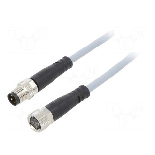 Connection lead | M8 | PIN: 3 | straight | 2.5m | plug | 60VAC | 3A | 60VDC