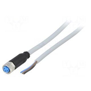 Connection lead | M8 | PIN: 3 | straight | 2m | plug | 60VAC | 4A | -30÷80°C