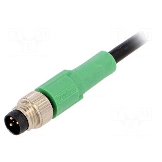 Connection lead | M8 | PIN: 3 | straight | 3m | plug | 250VAC | 4A | -25÷90°C