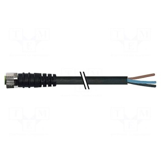 Connection lead | M8 | PIN: 4 | straight | 5m | plug | 30VAC | 4A | -20÷85°C