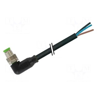 Connection lead | M8 | PIN: 3 | angled | 5m | plug | 60VAC | 4A | -20÷85°C