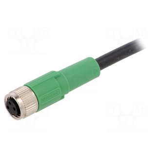Connection lead | M8 | PIN: 3 | straight | 3m | plug | 60VAC | 4A | -25÷90°C