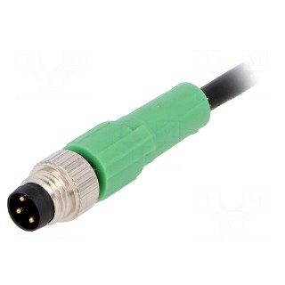 Connection lead | M8 | PIN: 3 | straight | 5m | plug | 250VAC | 4A | -25÷90°C