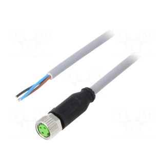 Connection lead | M8 | PIN: 3 | straight | 5m | plug | 50VAC | 4A | -40÷80°C
