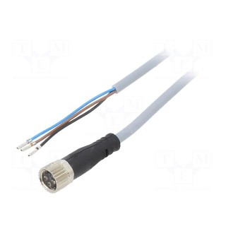 Connection lead | M8 | PIN: 3 | straight | 5m | plug | 60VAC | 3A | -25÷70°C