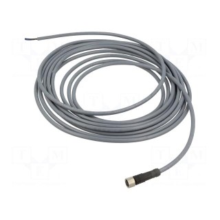 Connection lead | M8 | PIN: 3 | straight | 5m | plug | 60VAC | 3A | -25÷80°C