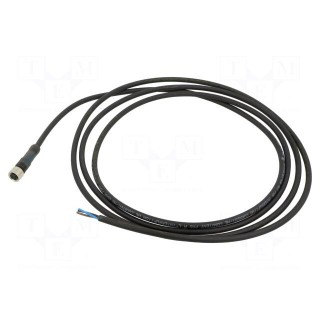 Connection lead | M8 | PIN: 3 | straight | 5m | plug | 60VAC | 4A | -5÷80°C