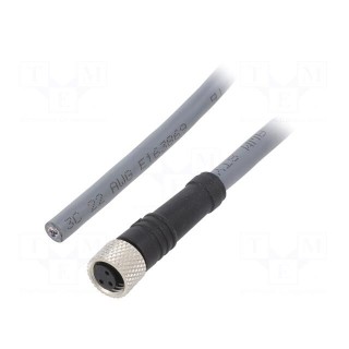 Connection lead | M8 | PIN: 3 | straight | 5m | plug | 63VAC | 2.7A | PUR