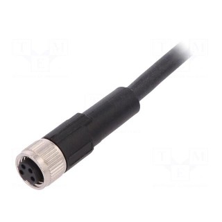 Connection lead | M8 | PIN: 4 | straight | 10m | plug | 60VAC | 4A | -25÷80°C